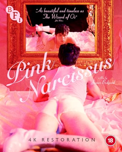 Pink Narcissus (Blu-ray)